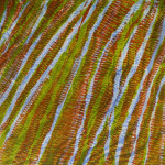 Beweging 3 gem. techniek op papier 22 x 22 cm (2012)